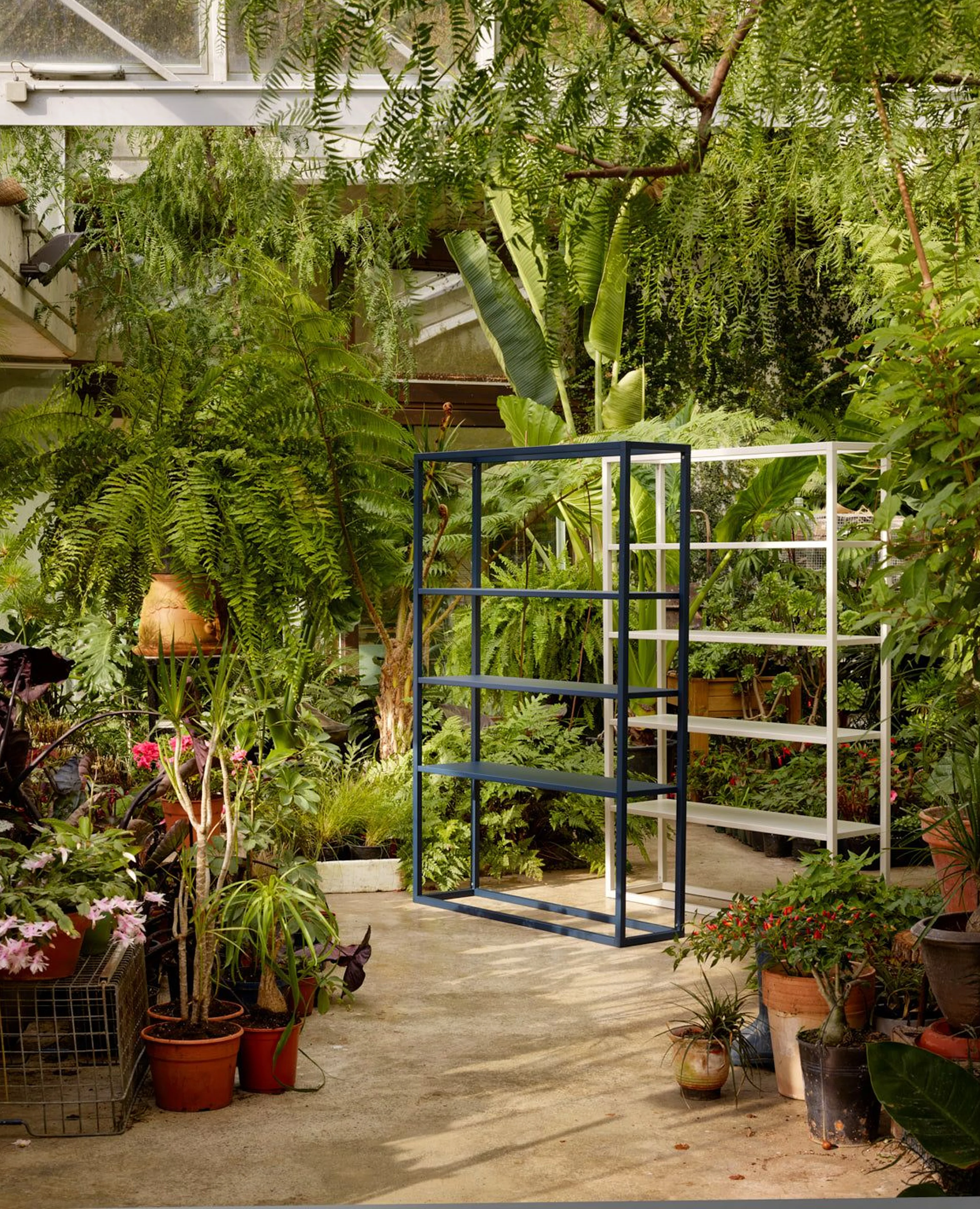 Dry Shelving, 52" Width, 6-Tier - 13.75" Depth - Image 2